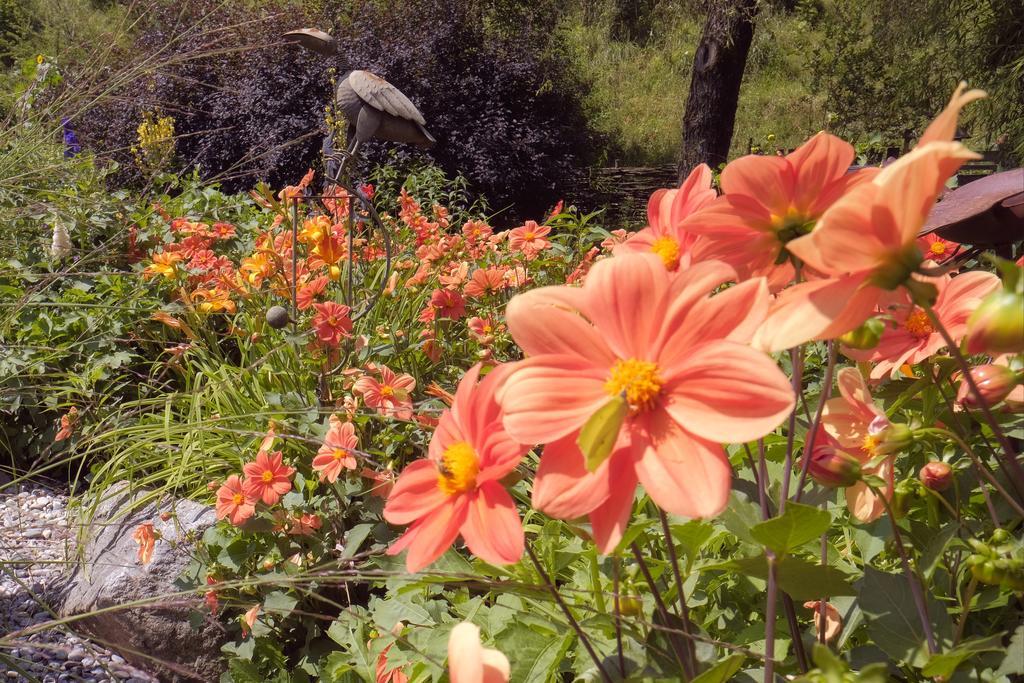Pension Aloisia Scheffau am Wilden Kaiser Εξωτερικό φωτογραφία