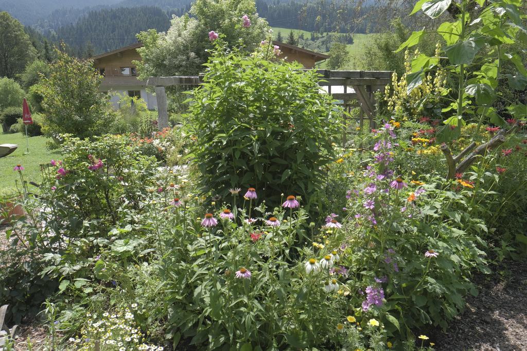 Pension Aloisia Scheffau am Wilden Kaiser Εξωτερικό φωτογραφία