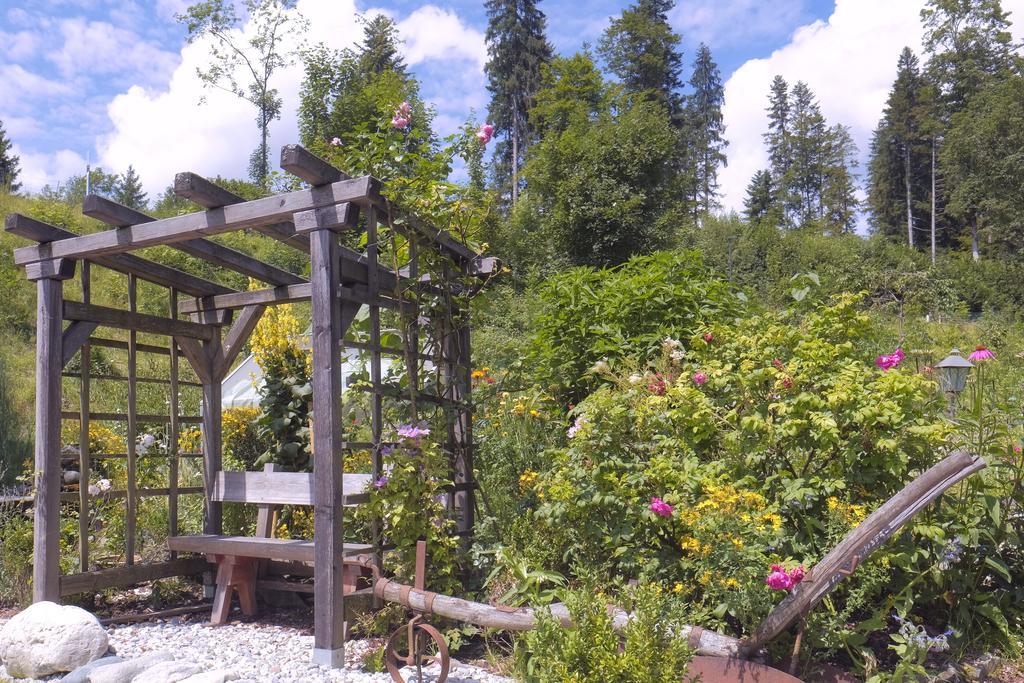 Pension Aloisia Scheffau am Wilden Kaiser Εξωτερικό φωτογραφία