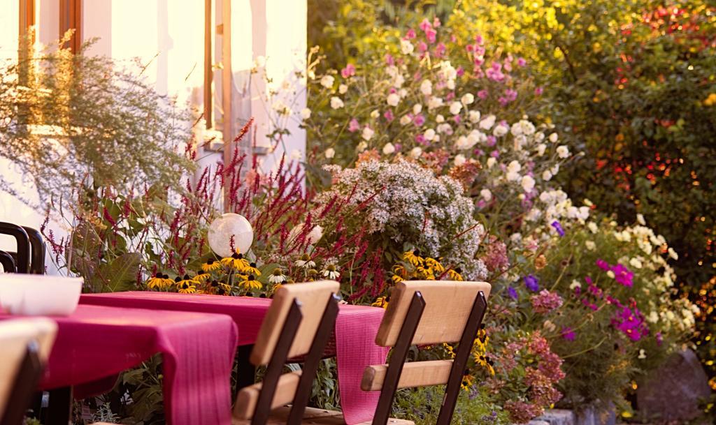 Pension Aloisia Scheffau am Wilden Kaiser Εξωτερικό φωτογραφία