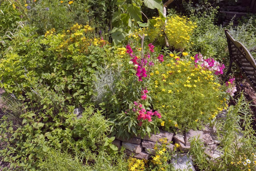 Pension Aloisia Scheffau am Wilden Kaiser Εξωτερικό φωτογραφία
