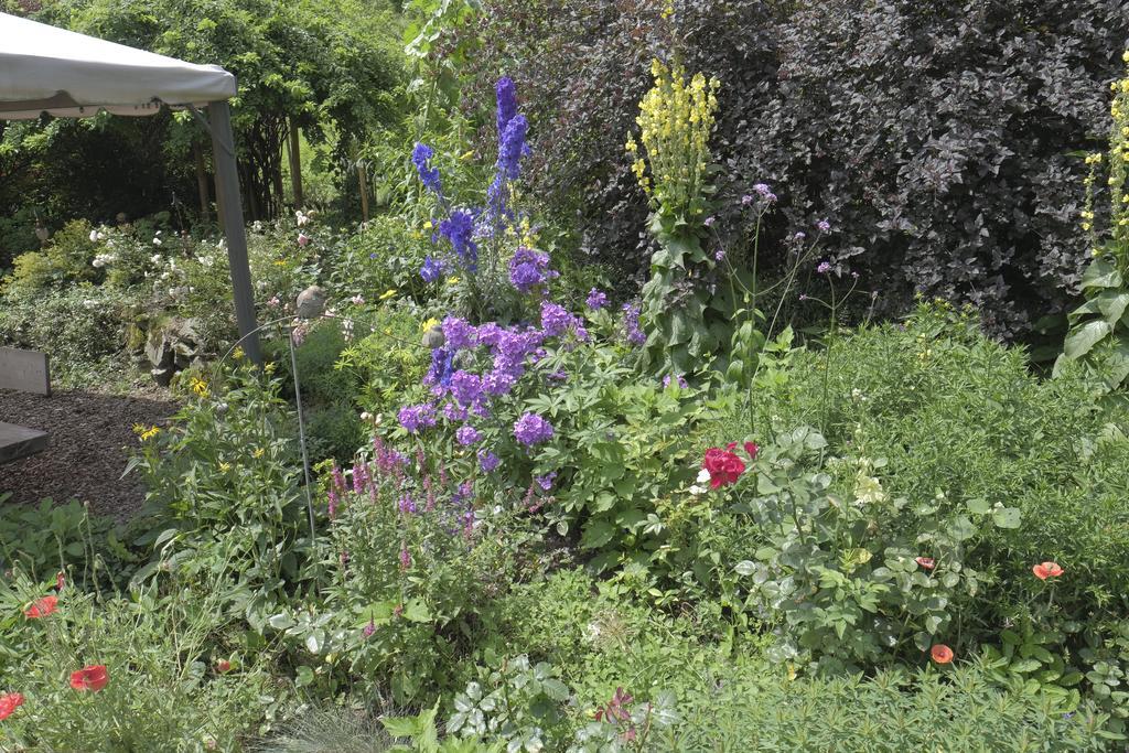 Pension Aloisia Scheffau am Wilden Kaiser Εξωτερικό φωτογραφία