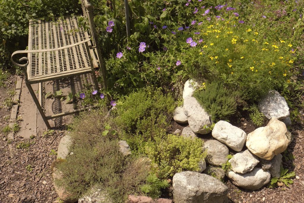 Pension Aloisia Scheffau am Wilden Kaiser Εξωτερικό φωτογραφία