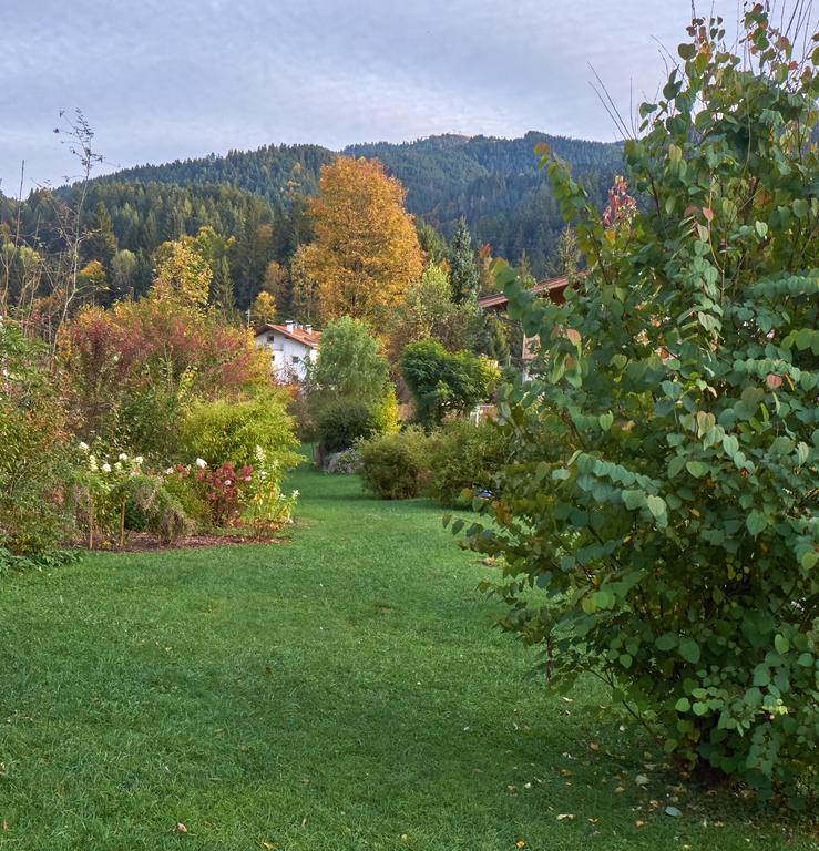 Pension Aloisia Scheffau am Wilden Kaiser Εξωτερικό φωτογραφία